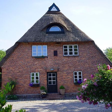 "Haus Auf Dem Berg" Διαμέρισμα Westensee Εξωτερικό φωτογραφία