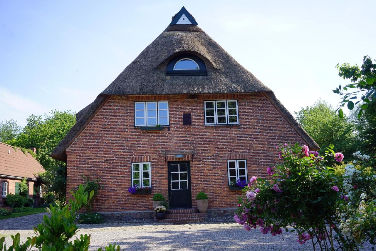 "Haus Auf Dem Berg" Διαμέρισμα Westensee Εξωτερικό φωτογραφία