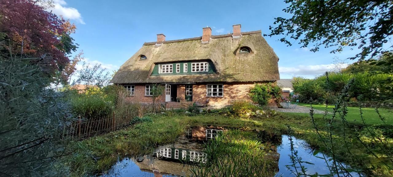 "Haus Auf Dem Berg" Διαμέρισμα Westensee Εξωτερικό φωτογραφία
